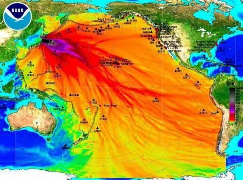 Fukushima - sugárszennyezés terjedése a tengerben
